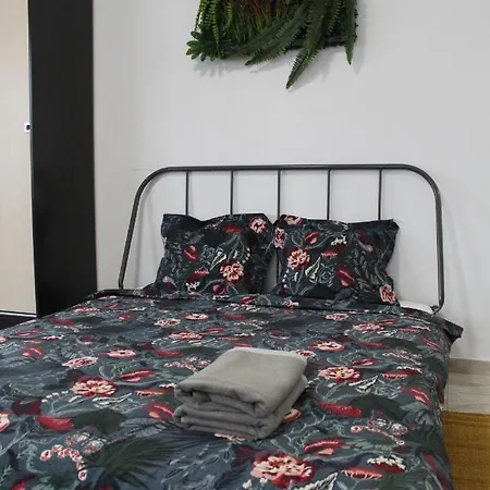 Amazon Studio-old Town Bukarest