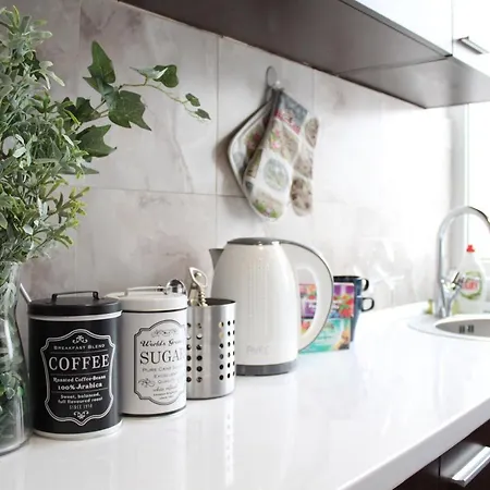 Amazon Studio-old Town Apartment Bucharest